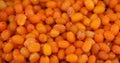 A lot of frozen ripe sea buckthorn berries (Hippophae).