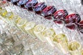 A lot of glasses with white wine and red wine glasses in a row Royalty Free Stock Photo