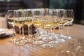 A lot of glasses with white wine in a restaurant at a buffet or banquet Royalty Free Stock Photo