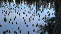 A lot of golden balls randomly scattered on a glossy surface under a blue sky.