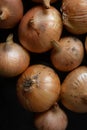 A lot of Golden fresh onions are lying on the table, taken close-up. The view from the top. Royalty Free Stock Photo