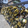 lot of Golden locks hanging on the bars on the bridge