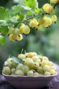 A lot of gooseberry on the table Royalty Free Stock Photo