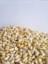 lot of grains of corn, background and texture