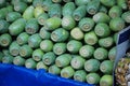 Cactus tunas in a Mexican market