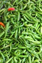 Lot of green chilli peppers Royalty Free Stock Photo