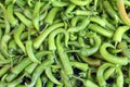 Lot of green chilli peppers Royalty Free Stock Photo