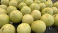 a lot of green gooseberry fresh Royalty Free Stock Photo
