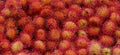 A lot of hairy rambutan fruits at a market