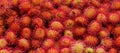 A lot of hairy rambutan fruits at a market