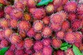 A lot of hairy rambutan fruits at market