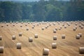 Lot of hay rolls in the industrial field Royalty Free Stock Photo