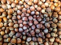 lot of hazelnut in the market closeup photo