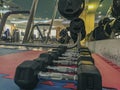 A lot of heavy dumbbells stacked and lined, organized on the soft rubber floor of modern gym interior with many different Royalty Free Stock Photo