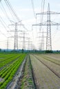 A lot of high-voltage power line, transmission tower overhead line masts, high voltage pylons as power pylons on the fields. Royalty Free Stock Photo