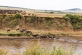 A lot of hoofed animals on the shore. Start for crossing. Kenya