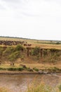 A lot of hoofed animals on the shore. Start for crossing. Kenya