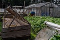 Lot of hothouses and greenhouses in green village garden, sun light, summer Royalty Free Stock Photo