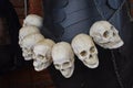 A lot of human skulls. Cannibalism Royalty Free Stock Photo