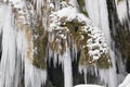 Lot of icicles at waterfall cascade at river Ammer in Bavaria