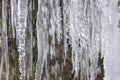 Lot of icicles at waterfall cascade at river Ammer in Bavaria