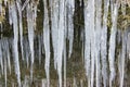 Lot of icicles at waterfall cascade at river Ammer in Bavaria