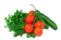 A lot of isolated fresh vegetables Royalty Free Stock Photo