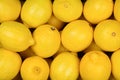 A lot of juicy lemons in the box. Lemons background. Royalty Free Stock Photo