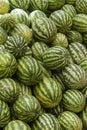 A lot of large ripe green striped watermelons close up background Royalty Free Stock Photo