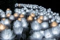 A lot of lit LED rose flowers at the Dongdaemun Design Plaza in UD TOWN, Udonthani Thailand at night.