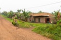 A lot of matoke banana bunches, traditional East African Food, stacked on a bike along a dirt road, Uganda.