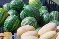 A lot of melons and watermelons in the market Royalty Free Stock Photo