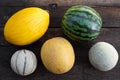 Lot of melons Royalty Free Stock Photo