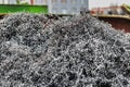 A lot of metal shavings close-up, after working on a milling machine or CNC machine. Texture metal shavings. Recycling of waste.