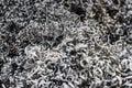 A lot of metal shavings close-up, after working on a milling machine or CNC machine. Texture metal shavings. Recycling of waste.