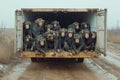 A lot of monkeys are transported in a truck