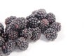 A lot more fresh sweet blackberry`s Royalty Free Stock Photo