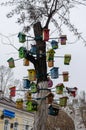 A lot of multi-colored birdhouses.