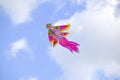 Lot of multi-colored kites in the sky vertical background