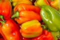 Lot of Multicolored Sweet Pepper background