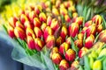 Lot of multicolored tulips bouquets. Flower market or store. Wholesale and retail flower shop. Florist service. Woman day Royalty Free Stock Photo