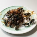 A lot of nasty black flies on a plate with food leftovers, close-up,