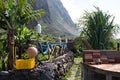 A lot of objects in the garden near a wooden fence Madeira, Portugal Royalty Free Stock Photo