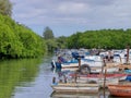 Lot of olds boats at Cojimar river / Embarcaciones en el Rio de Cojimar Royalty Free Stock Photo