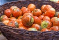 A lot of orange autumnal pumpkins in full basket