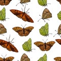 Pattern of many bright butterflies