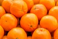 A lot of oranges and tangerines in a nest. Royalty Free Stock Photo