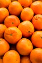 A lot of oranges and tangerines in a nest. Royalty Free Stock Photo