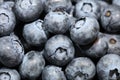 A lot of organic Blueberries Royalty Free Stock Photo
