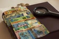 a lot of paper bills and coins and lens of various countries located on the numismatic album Royalty Free Stock Photo